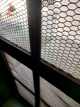 Snapshot of indian_couple4 chatting on 02-07-26, 08:40 indian couple4 online show from 02-07-26, 08:40