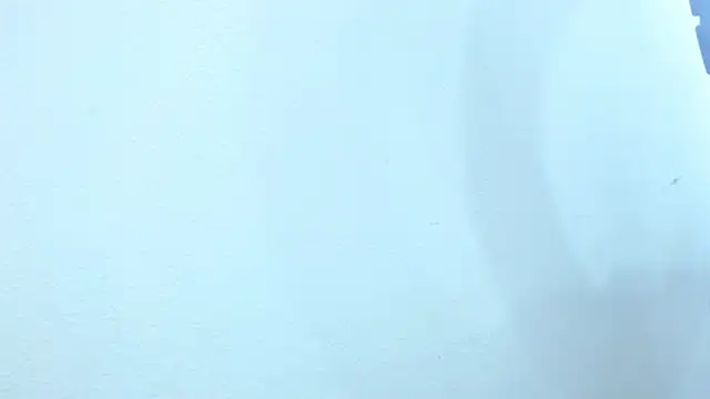 Snapshot of sebastian_colle chatting on 02-26-25, 03:08 sebastian colle online show from 02-26-25, 03:08