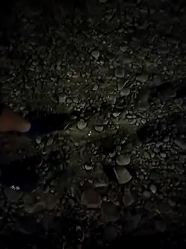 Kassie Greys online show from 03-04-25, 03:33