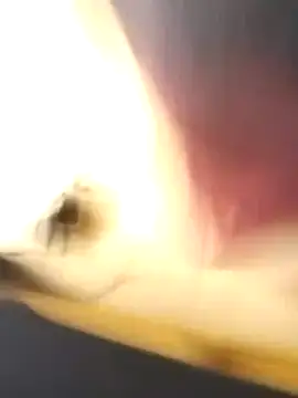 EmCyrex online show from 03-26-26, 11:49