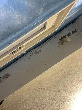 YODAPESOS online show from 02-23-26, 12:57