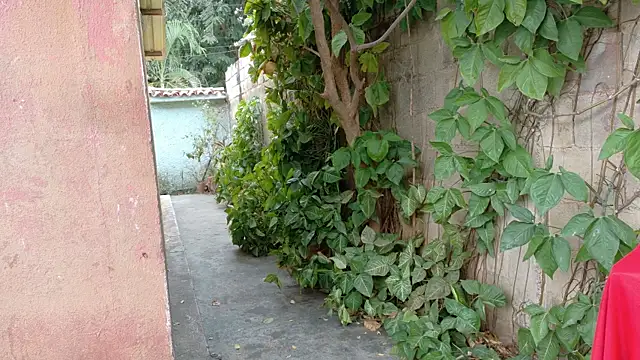 twinks 28 online show from 01-17-26, 08:45