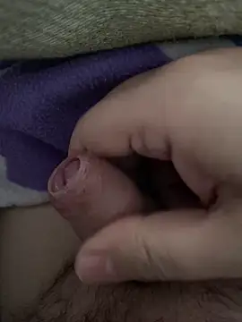 littletoy64 online show from 02-07-26, 08:07