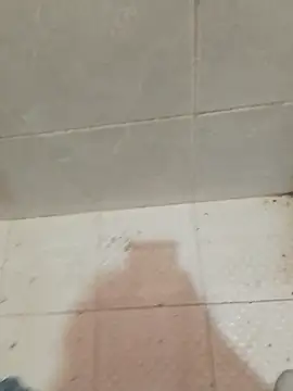 enoc369 online show from 04-23-26, 05:04