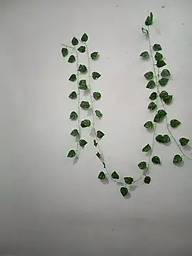 Neha-Bhabhi-Rasily online show from 02-22-26, 09:08