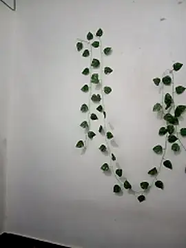 Neha-Bhabhi-Rasily online show from 02-24-26, 09:51