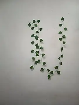 Neha-Bhabhi-Rasily online show from 03-06-26, 04:42