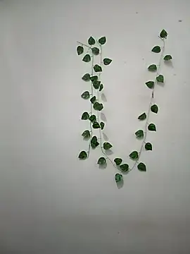 Neha-Bhabhi-Rasily online show from 03-08-26, 11:14