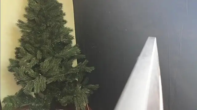 Maya Mayflower online show from 03-04-25, 12:12