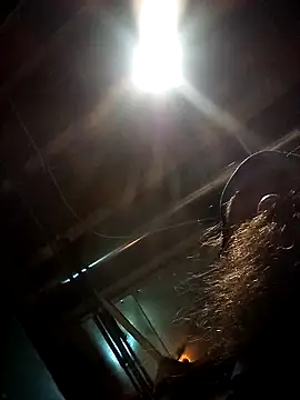 SirJonBradley online show from 09-19-25, 10:49