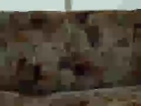 Snapshot of priya_patel chatting on 09-12-25, 07:19 priya patel online show from 09-12-25, 07:19