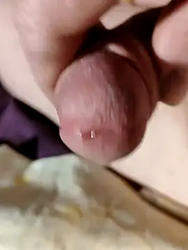 --Serhei-- online show from 02-06-26, 04:54