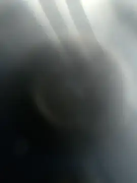 Gotabodiee online show from 11-13-25, 12:59