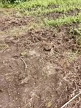 Snapshot of himvilohi08 chatting on 10-01-25, 05:35 himvilohi08 online show from 10-01-25, 05:35