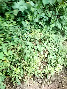 Snapshot of himvilohi08 chatting on 10-02-25, 05:14 himvilohi08 online show from 10-02-25, 05:14