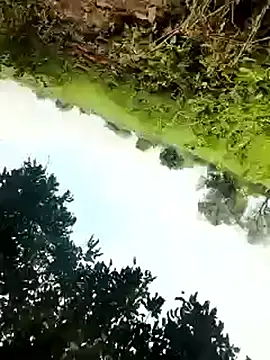 Snapshot of himvilohi08 chatting on 10-04-25, 05:27 himvilohi08 online show from 10-04-25, 05:27