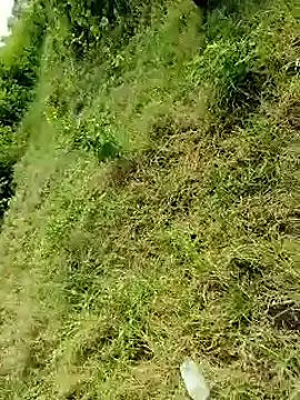 Snapshot of himvilohi08 chatting on 10-06-25, 04:10 himvilohi08 online show from 10-06-25, 04:10