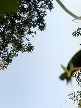 Snapshot of himvilohi08 chatting on 10-22-25, 10:26 himvilohi08 online show from 10-22-25, 10:26