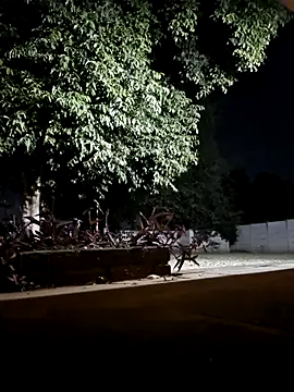 bakedsnackmmh online show from 02-19-26, 09:33