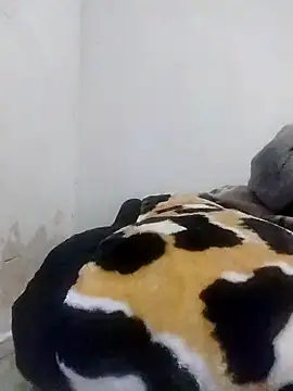 Snapshot of CertifiedSatisfier chatting on 10-29-25, 01:46 CertifiedSatisfier online show from 10-29-25, 01:46