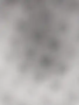 Francescodicristina44 online show from 02-06-26, 09:45