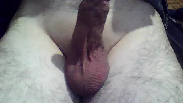 soyorkarxx online show from 12-18-25, 11:44