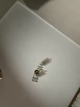 maar tina online show from 10-13-25, 09:59