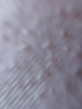 So8nan online show from 09-21-25, 01:02