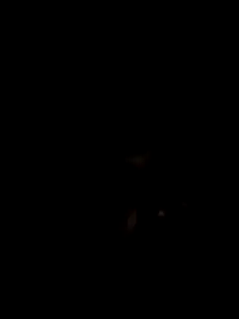 Snapshot of John96999 chatting on 03-16-25, 12:12 John96999 online show from 03-16-25, 12:12