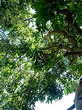 perversumm online show from 09-21-25, 04:19