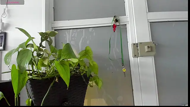 Andrew Taylor09 online show from 04-27-26, 11:36