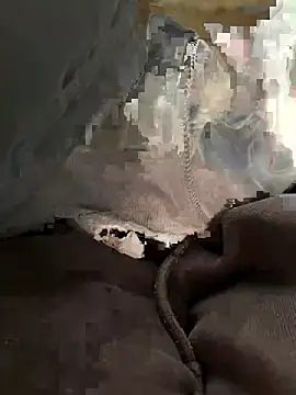 bambi lu online show from 03-05-26, 06:59