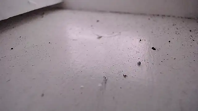 Valensx oficiall online show from 04-29-26, 07:31