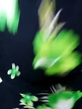 tamiltady online show from 09-12-25, 05:57