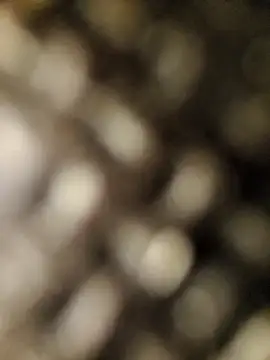 geilerschwanz556r7 online show from 09-30-25, 08:52