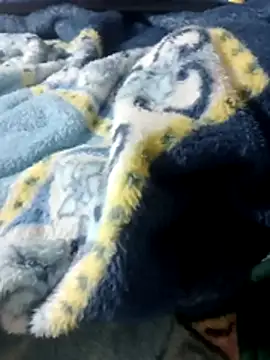 Snapshot of luuiss12 chatting on 01-13-26, 08:14 luuiss12 online show from 01-13-26, 08:14