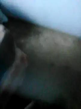 Snapshot of mydickbedarkandthick chatting on 11-21-25, 03:11 mydickbedarkandthick online show from 11-21-25, 03:11