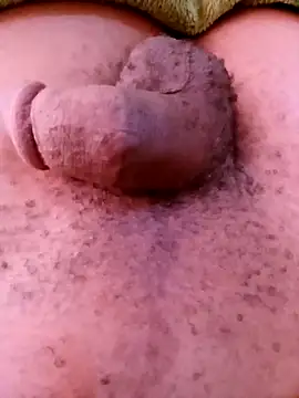 horny1131 online show from 04-11-26, 07:45