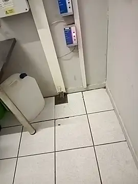 paptsimo online show from 11-25-25, 02:44