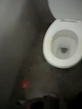 paptsimo online show from 12-13-25, 07:53