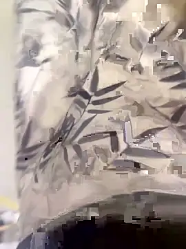 Snapshot of xiaoyuan01 chatting on 10-10-25, 01:37 xiaoyuan01 online show from 10-10-25, 01:37