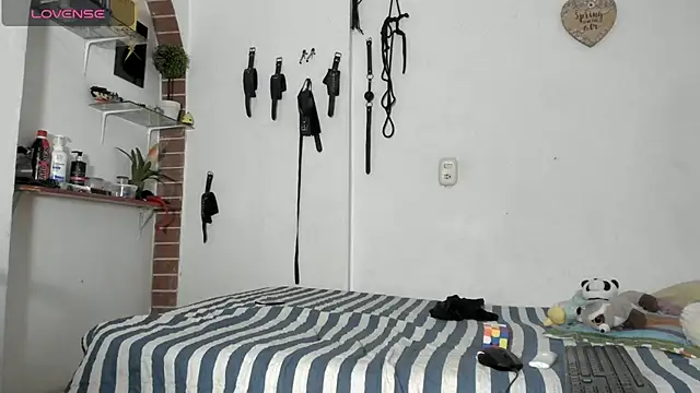 morbo total69 online show from 03-11-26, 10:16