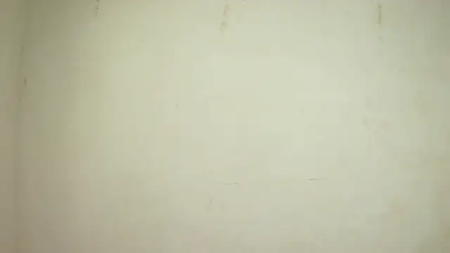 Snapshot of SelenaKayle chatting on 10-24-25, 04:14 SelenaKayle online show from 10-24-25, 04:14