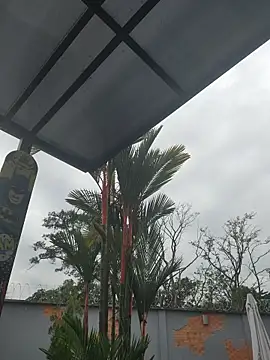 Yessica Lopezz online show from 03-05-26, 11:28