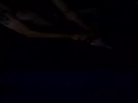 Crossedsissy online show from 12-15-25, 05:34