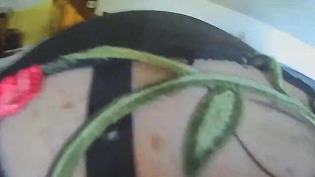 VanessaSissyGay online show from 11-27-25, 11:01