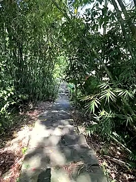 zack23088 online show from 10-18-25, 02:03