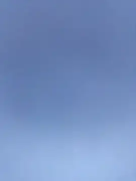 Veww1313 online show from 12-04-25, 09:07