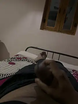 tippytop 311 online show from 10-05-25, 07:56