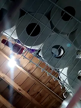 Single lagunero online show from 03-16-26, 06:34